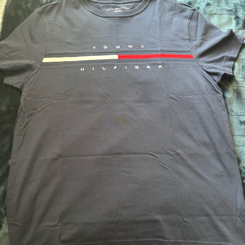 Tommy Hilfiger Blue Short Sleeve Tee with Minimalist Design